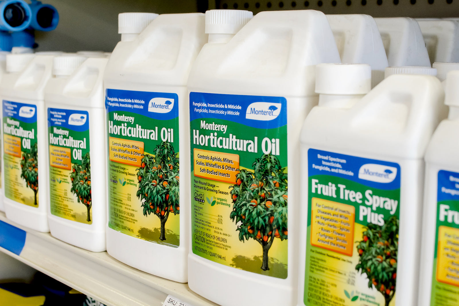 Tips & Tricks for Spraying Trees in San Diego