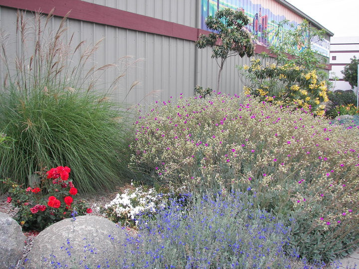 Escondido Landscape Project