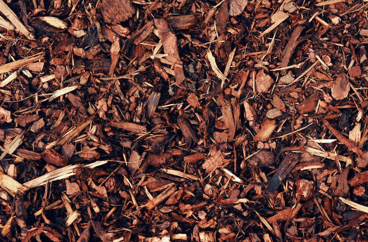 Grangettos Now Offering San Pasqual Valley Soils