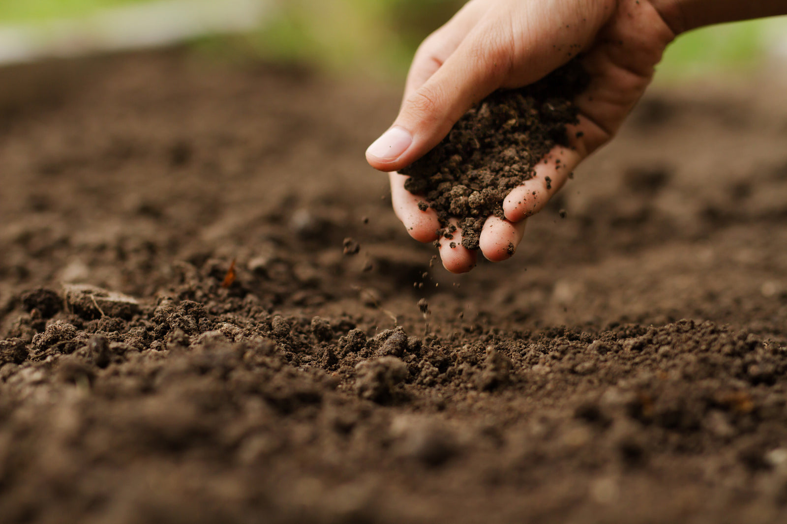 Rogitex Publish 4 Humic Land Trials