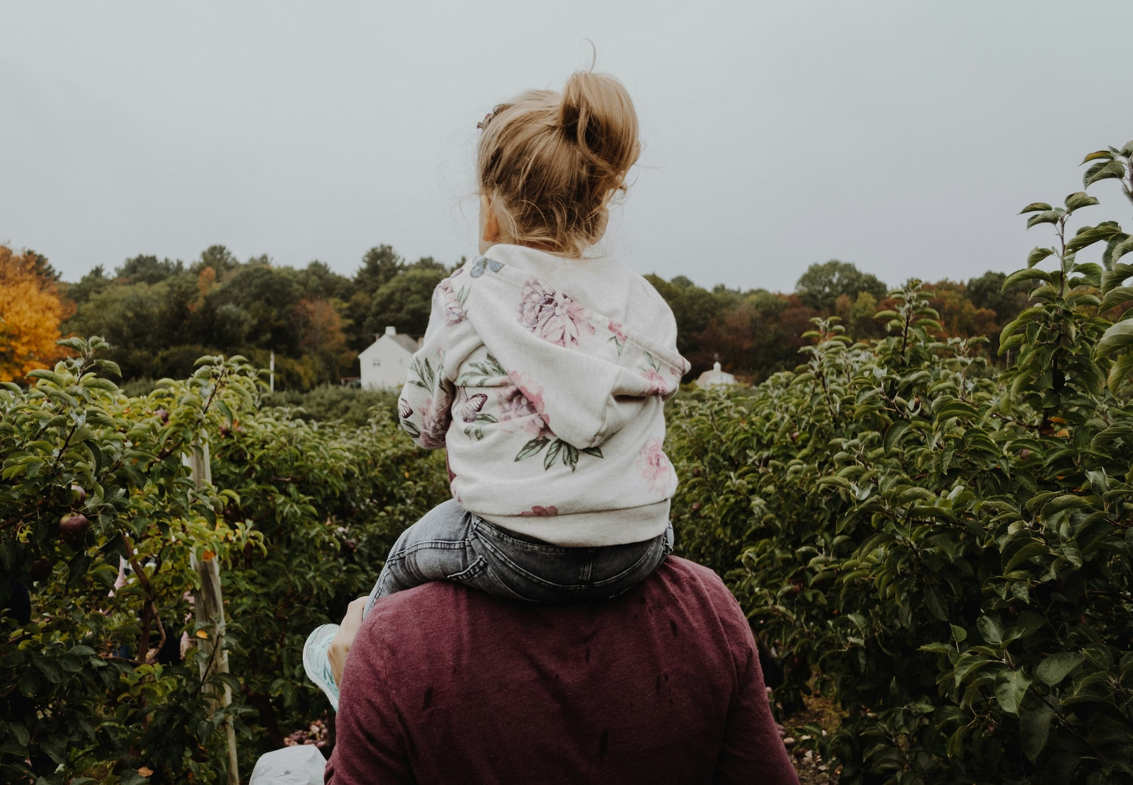 Photo provided by Unsplash