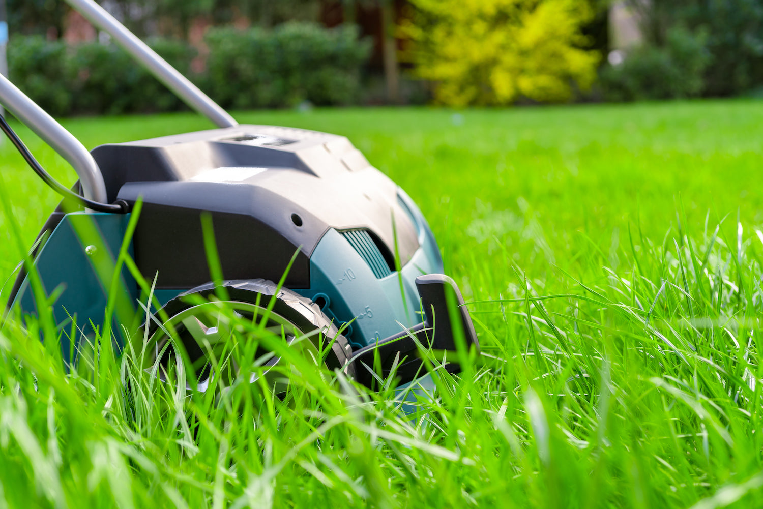 Correcting Compacted Lawns