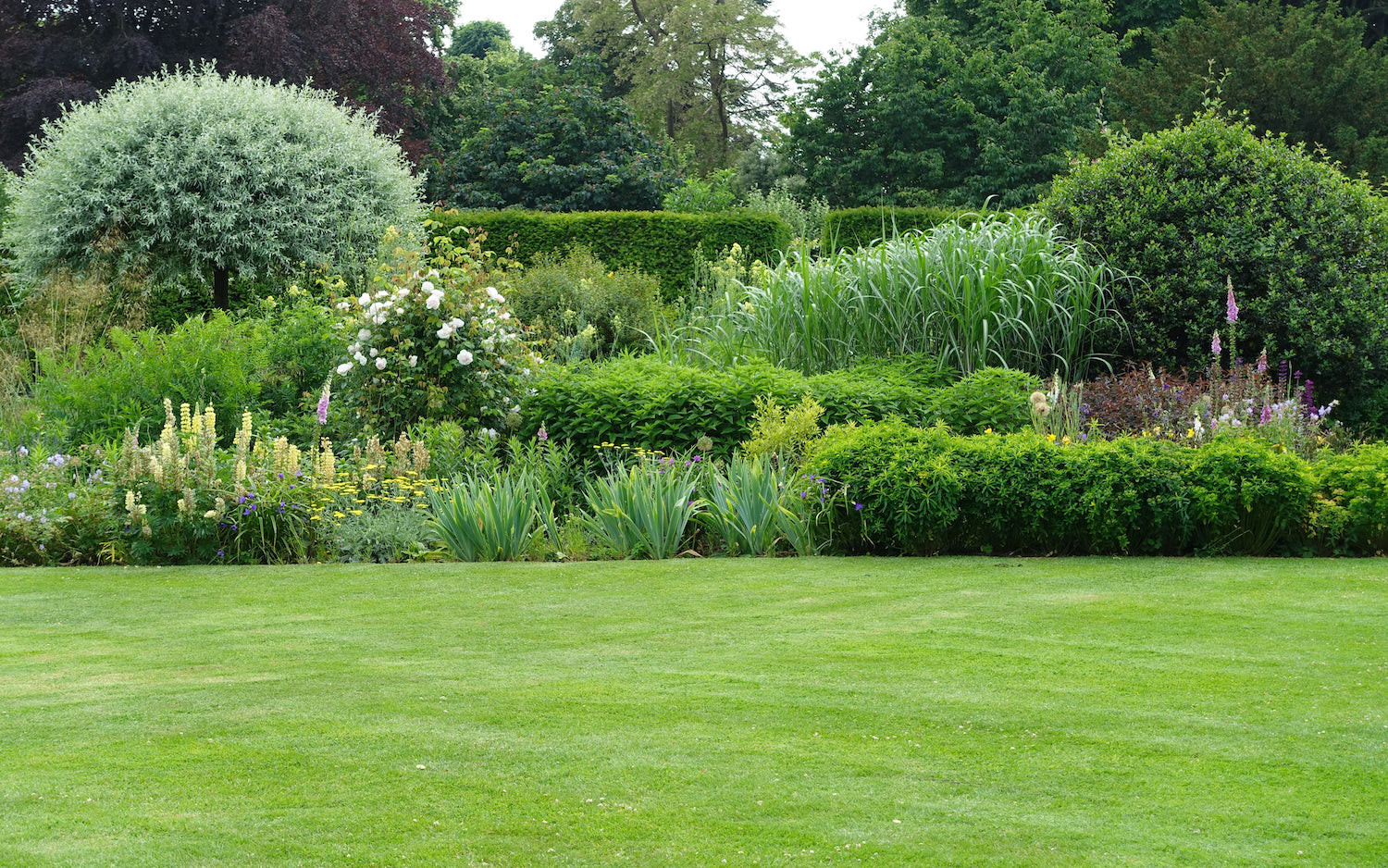 Reseed for Revival of Stressed Out Lawns