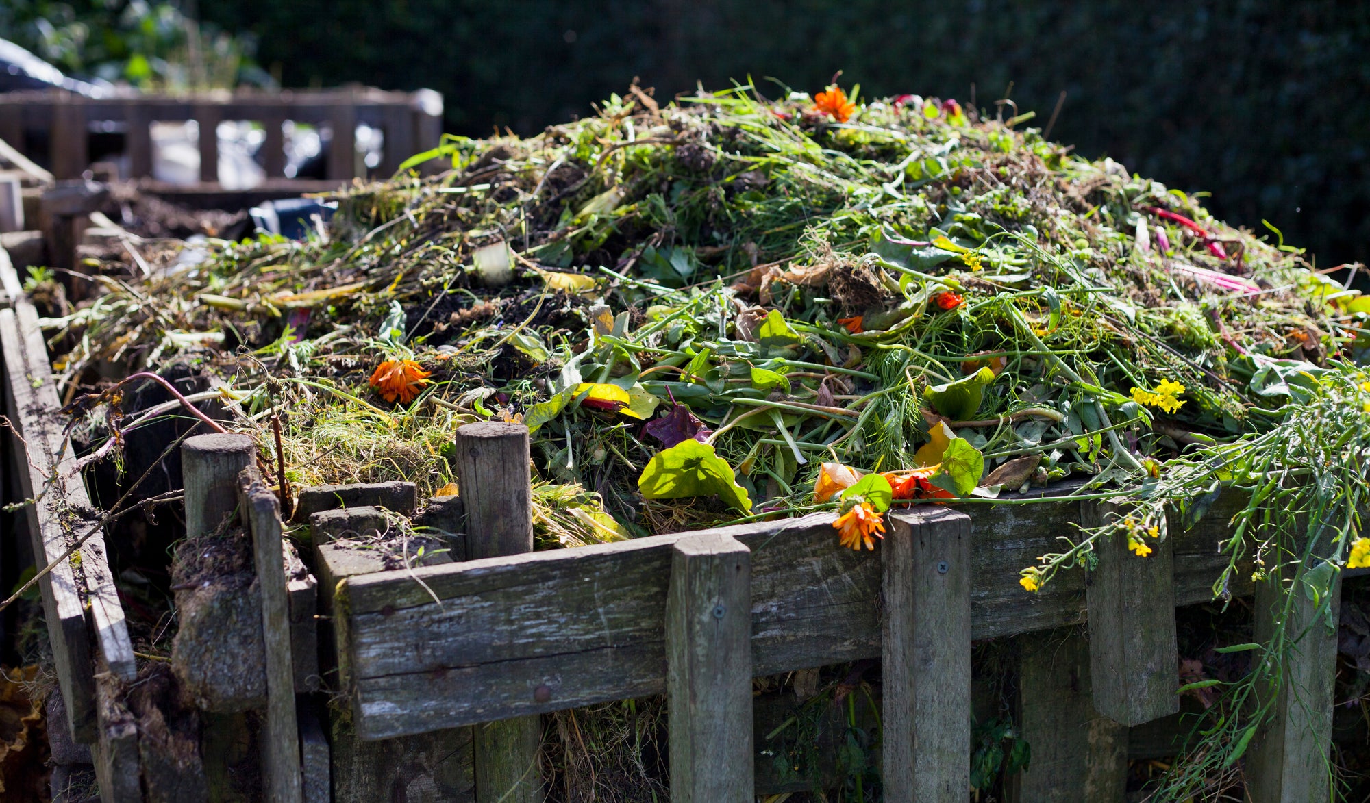 10 Quick Tips for Composting