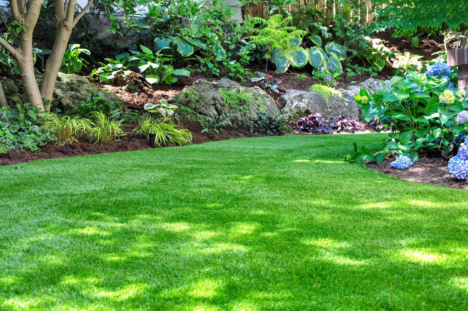 Planting a New Lawn Step by Step