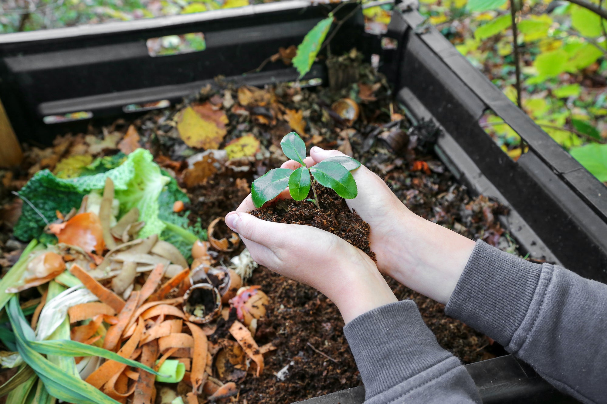 Easy Anaerobic Composting