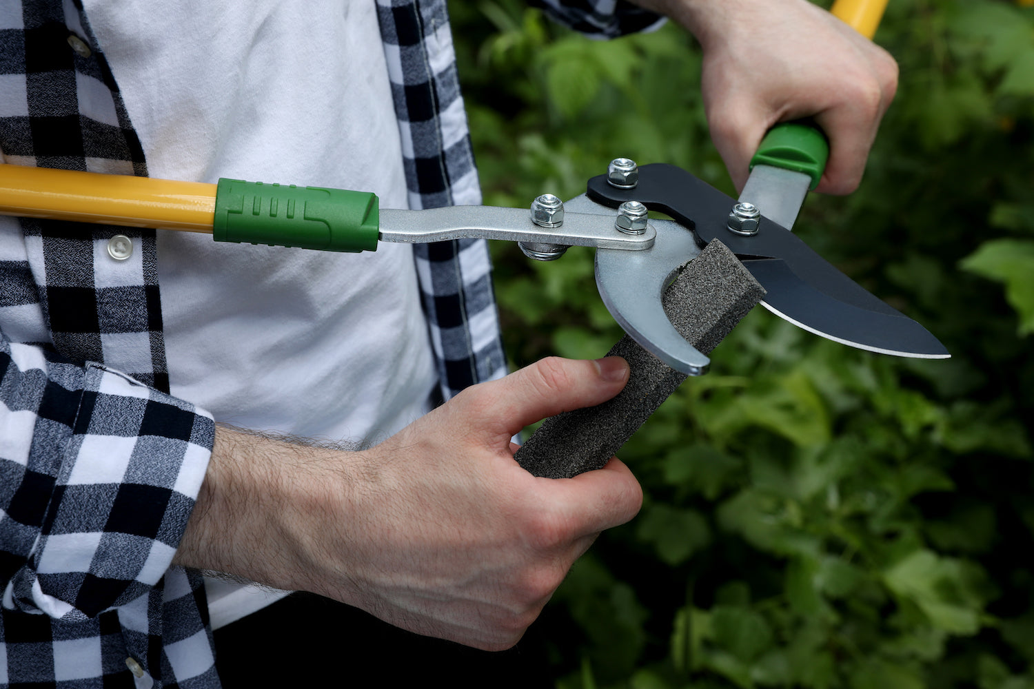 How to Sharpen Your Pruners