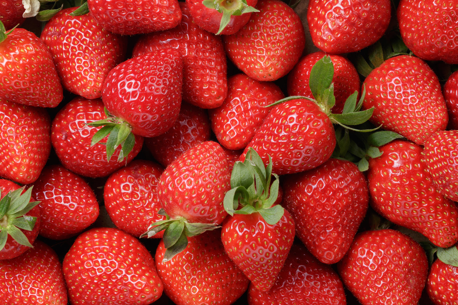 Fruit in Containers