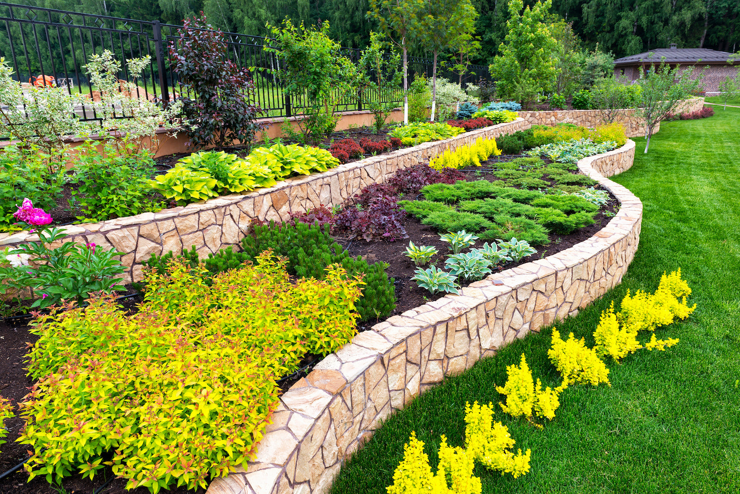 Saving Water in Your Landscape