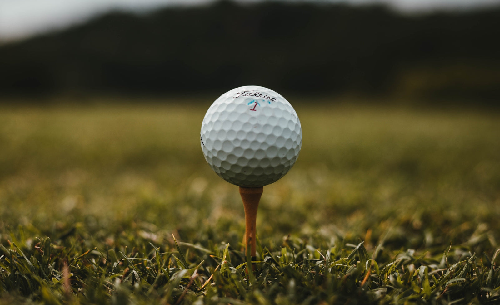 Grangetto's Golf Tournament