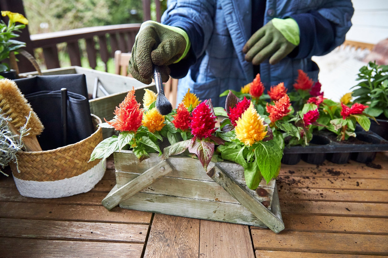 Best Holiday Gifts for Gardeners and Landscapers