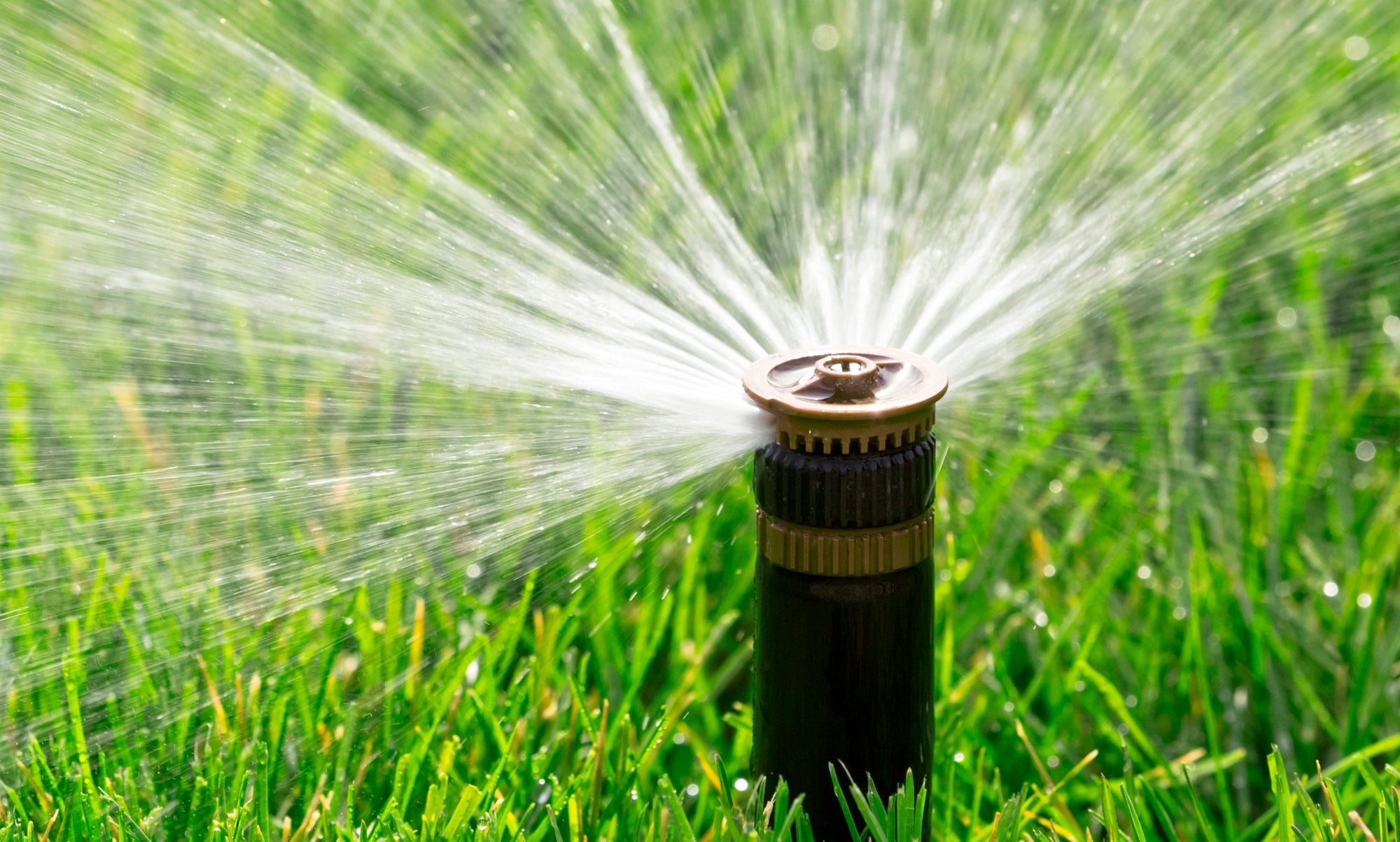 Law for Pressure Regulating Sprinkler Heads