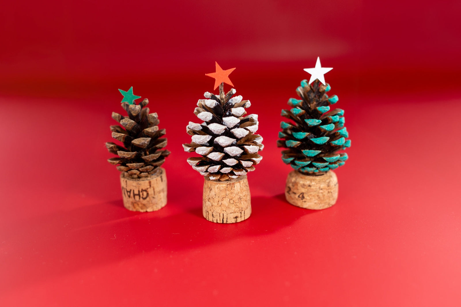 DIY Holiday Nature Crafts for Kids
