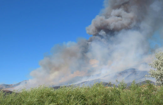 Protect Your Farm and Garden from Fire Risk: Tips for San Diego Gardeners and Farmers