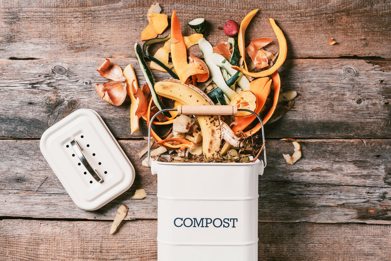 Kitchen Composting 101: How to Repurpose Food Scraps