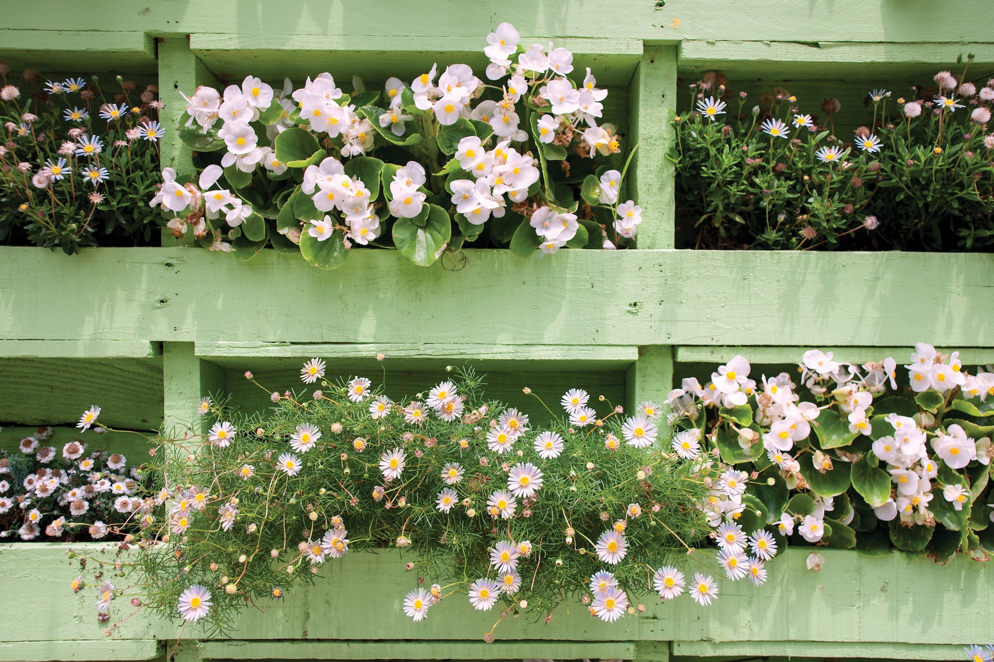 Make a Pallet Garden – Verticle Gardening