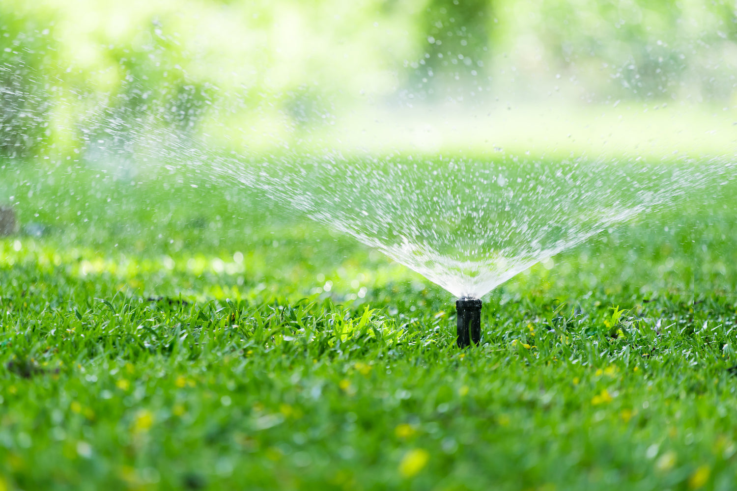Is Your Irrigation System from this Century?
