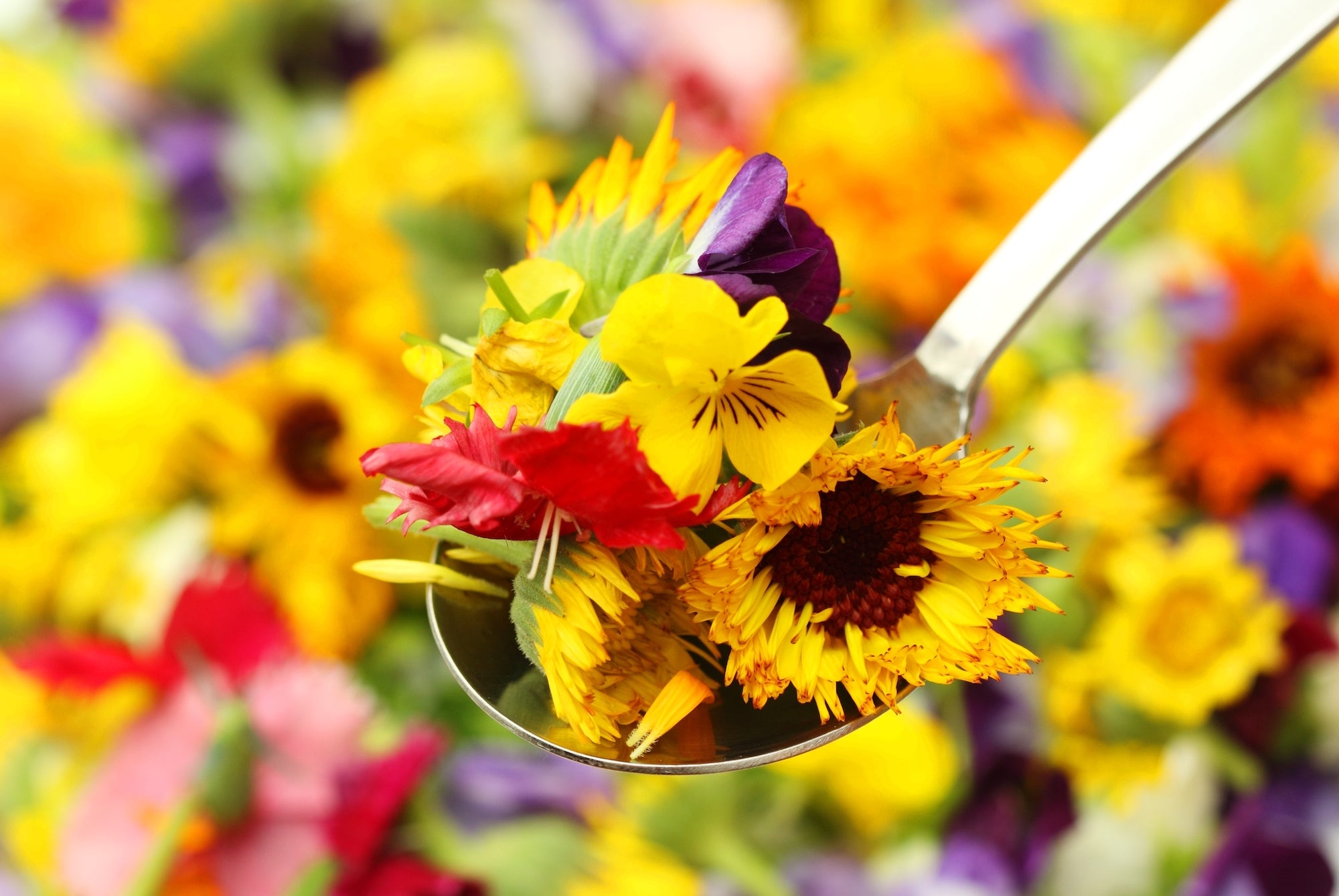 Edible Flowers - Food Fad That's Here to Stay - Farmers