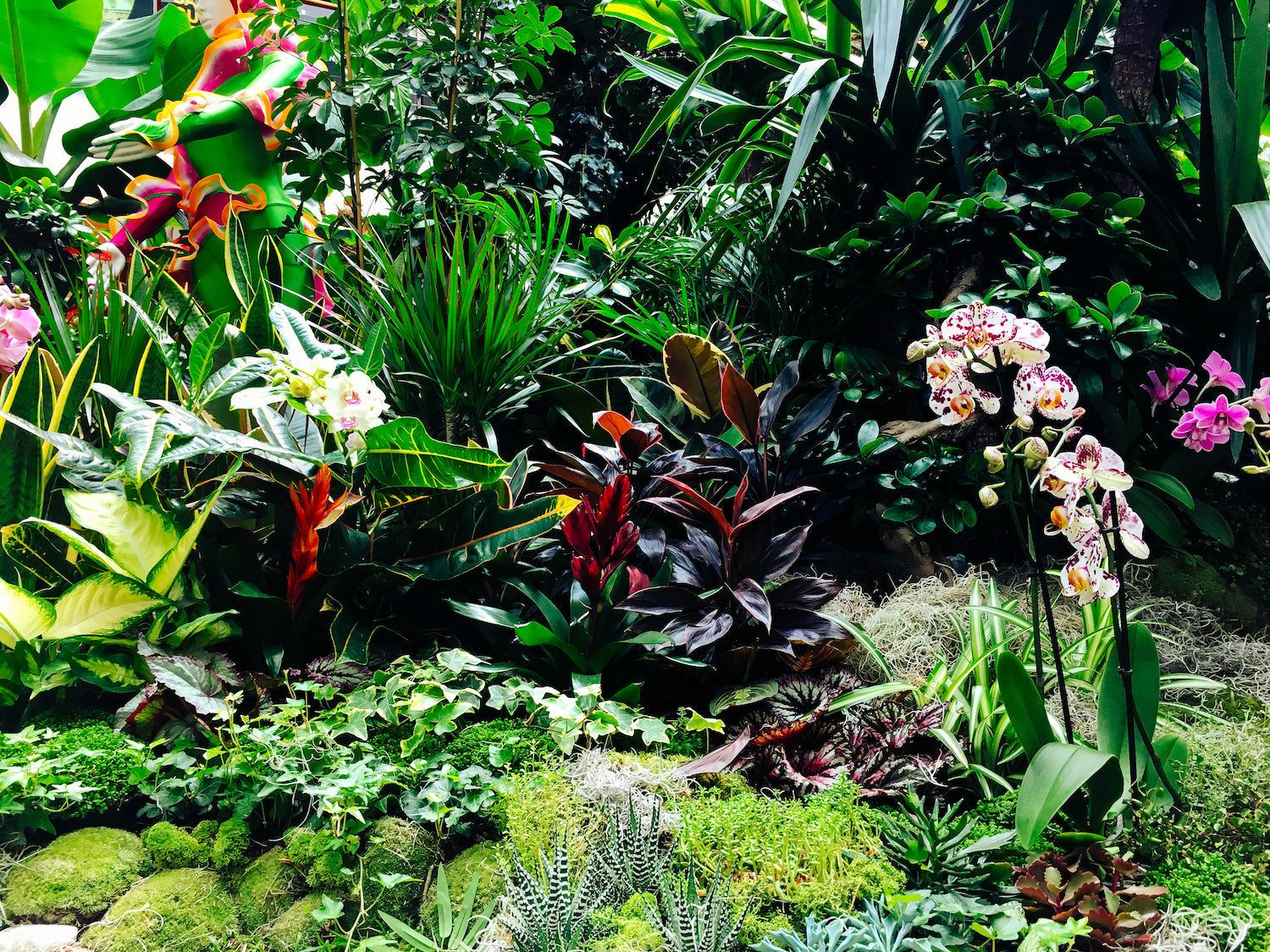 How to Design an Exotic Garden: Transform Your Space
